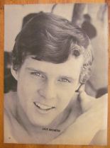 Jay North #830027 picture (Portrait Medium)