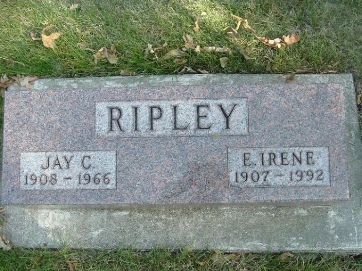 Jay Ripley