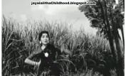 Jayalalitha J