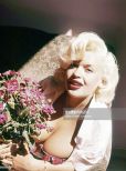 Jayne Mansfield