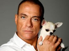 Jean-Claude Van Damme