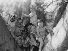 Jean Darling #3711274 picture (Landscape Medium)