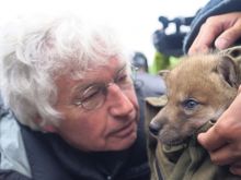 Jean-Jacques Annaud