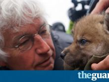 Jean-Jacques Annaud