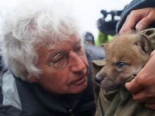 Jean-Jacques Annaud