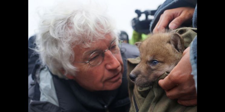 Jean-Jacques Annaud