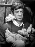 Jean-Paul Belmondo