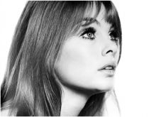 Jean Shrimpton