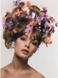 Jean Shrimpton