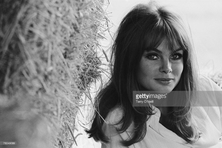 Jean Shrimpton