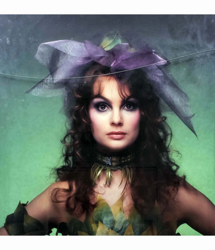 Jean Shrimpton