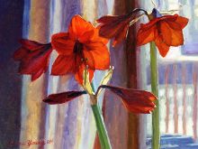 Jeanne Young