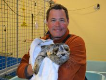 Jeff Corwin