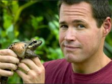 Jeff Corwin