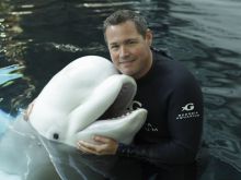 Jeff Corwin