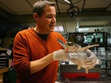 Jeff Corwin
