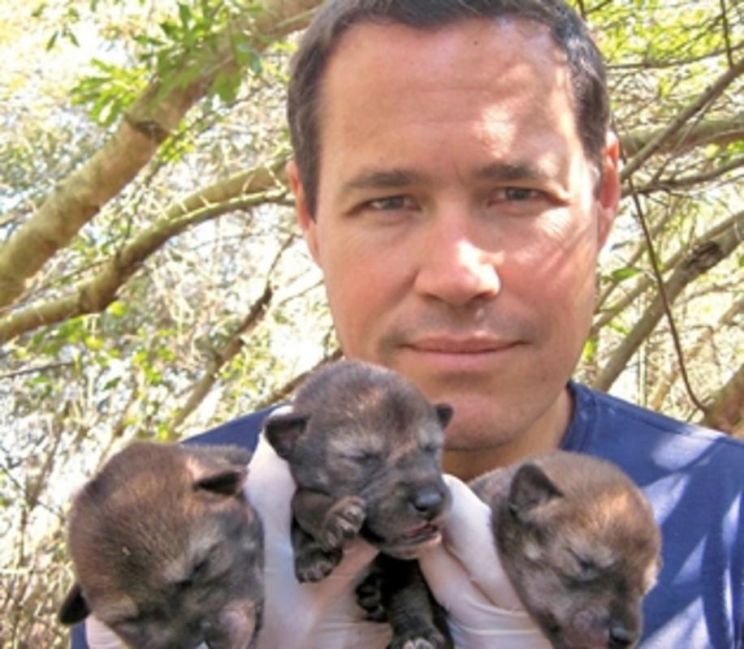 Jeff Corwin