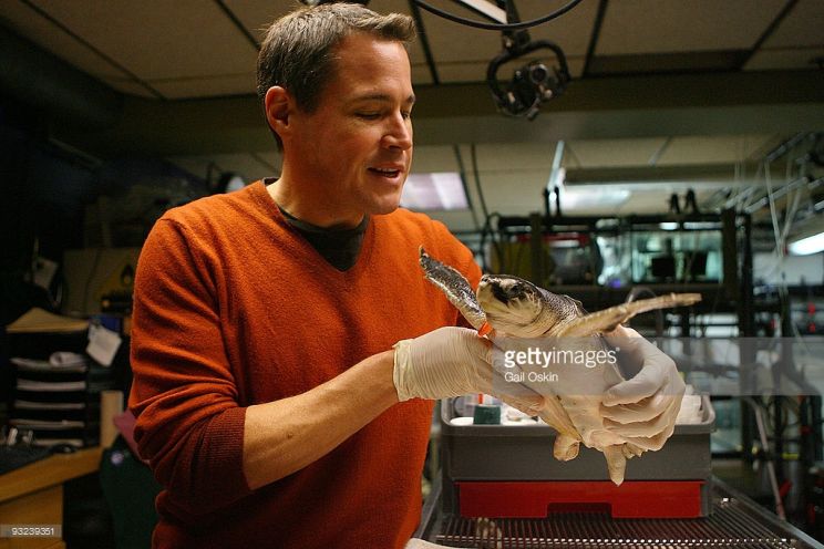 Jeff Corwin