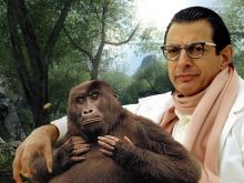 Jeff Goldblum