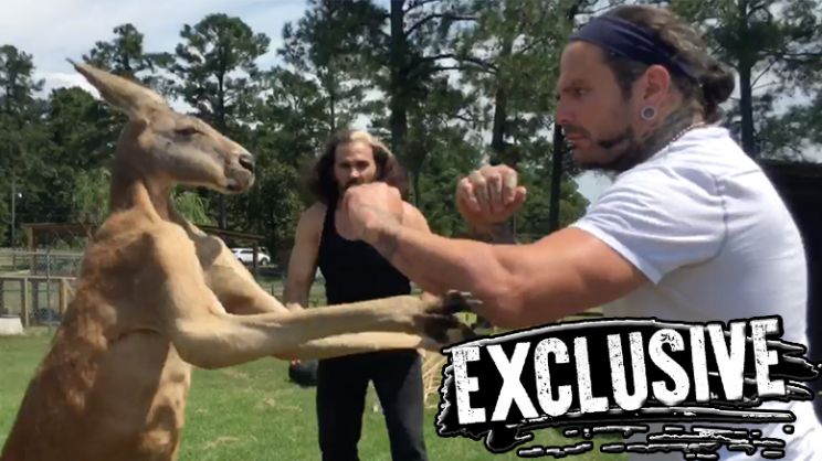 Jeff Hardy