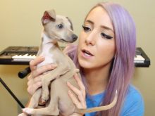 Jenna Marbles