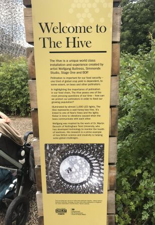 Jennifer Nawada Evans's Biography - Wall Of Celebrities