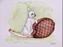 Jennilee Murray photo
