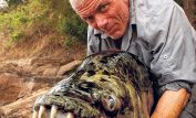 Jeremy Wade