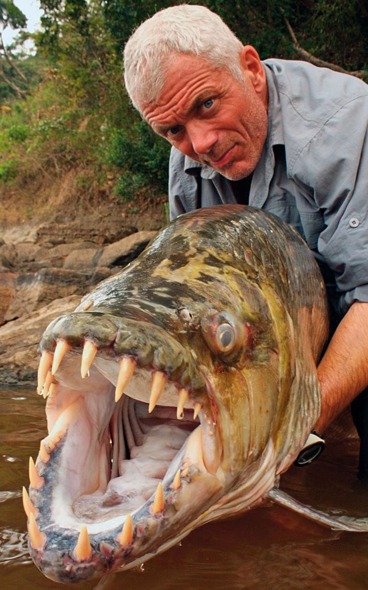 Jeremy Wade