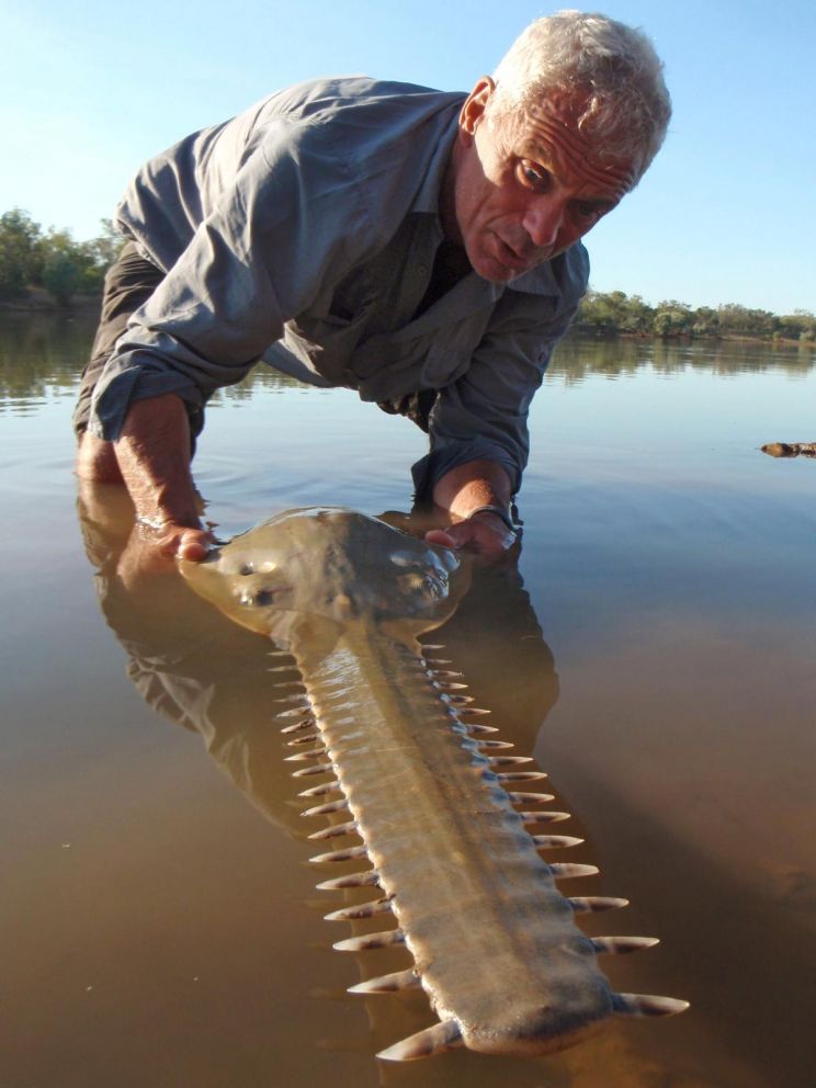 Jeremy Wade