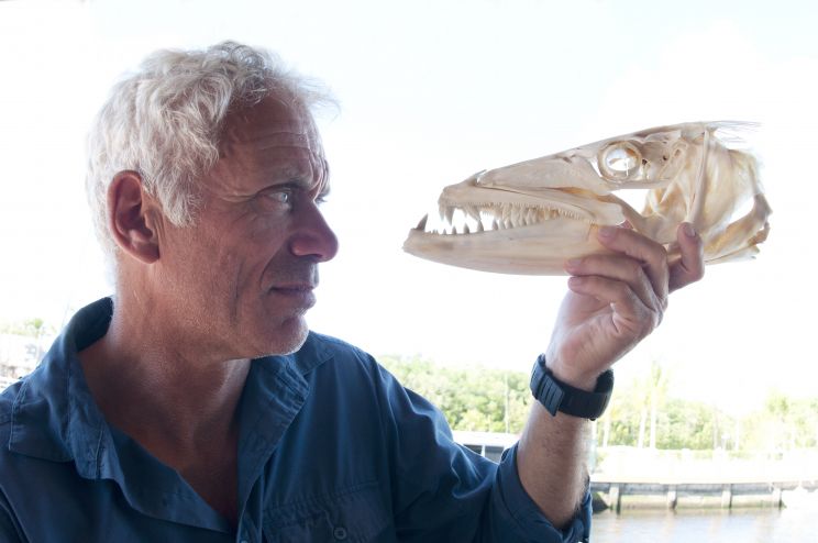 Jeremy Wade