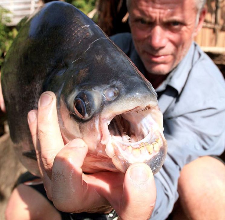 Jeremy Wade