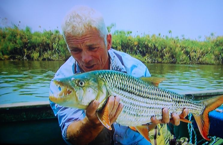 Jeremy Wade