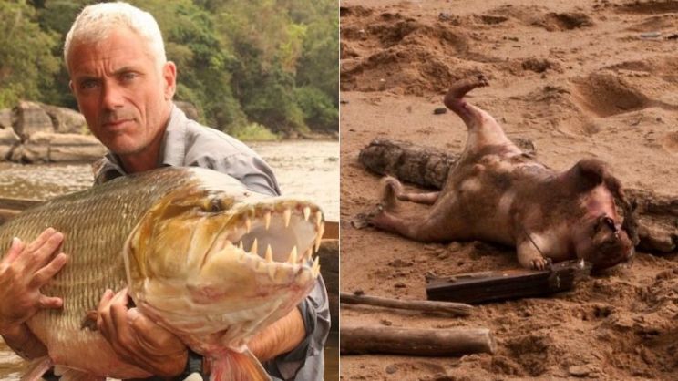 Jeremy Wade