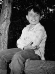 Jerry Mathers