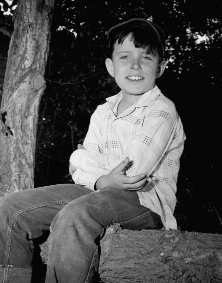 Jerry Mathers