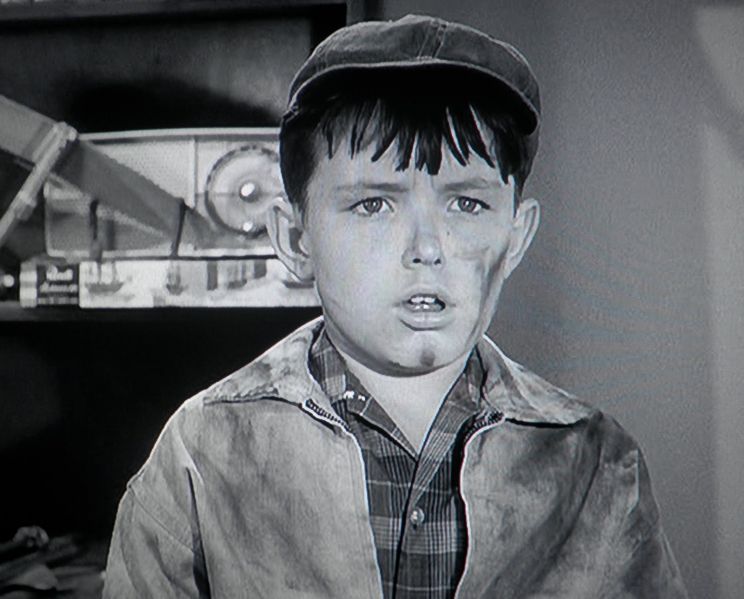 Jerry Mathers
