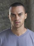 Jesse Williams