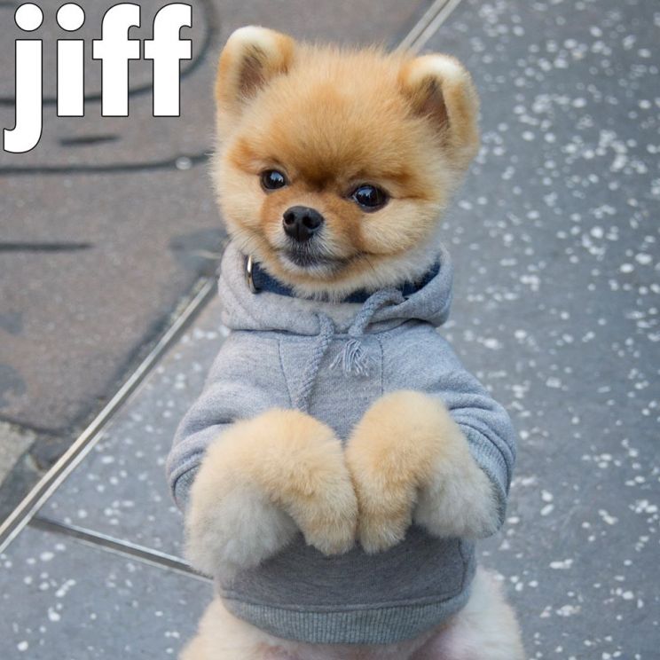 Jiff