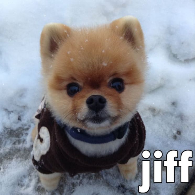 Jiff