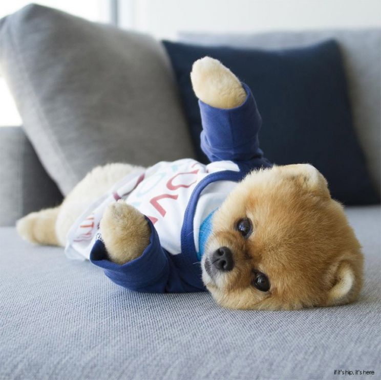 Jiff