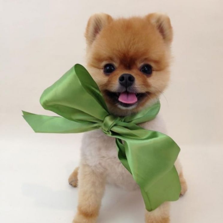 Jiff