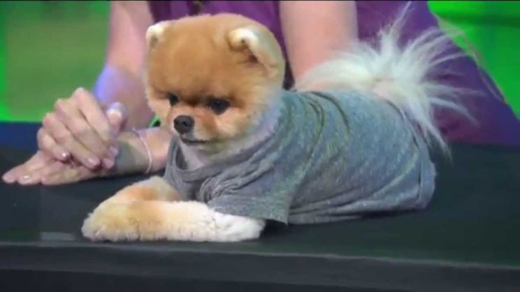 Jiff