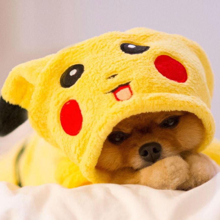 Jiff