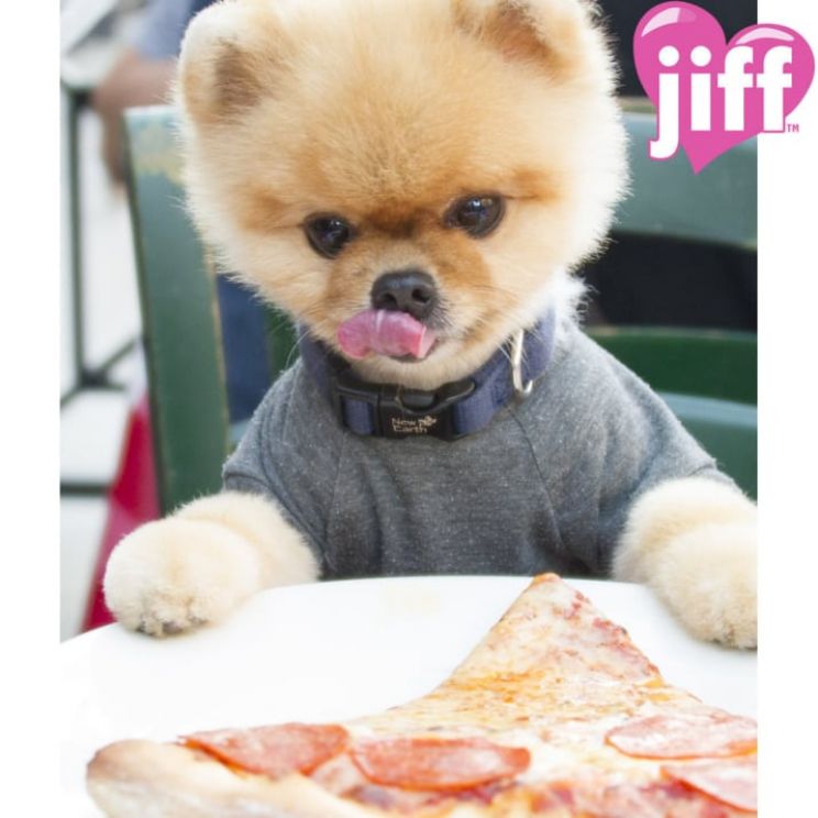 Jiff