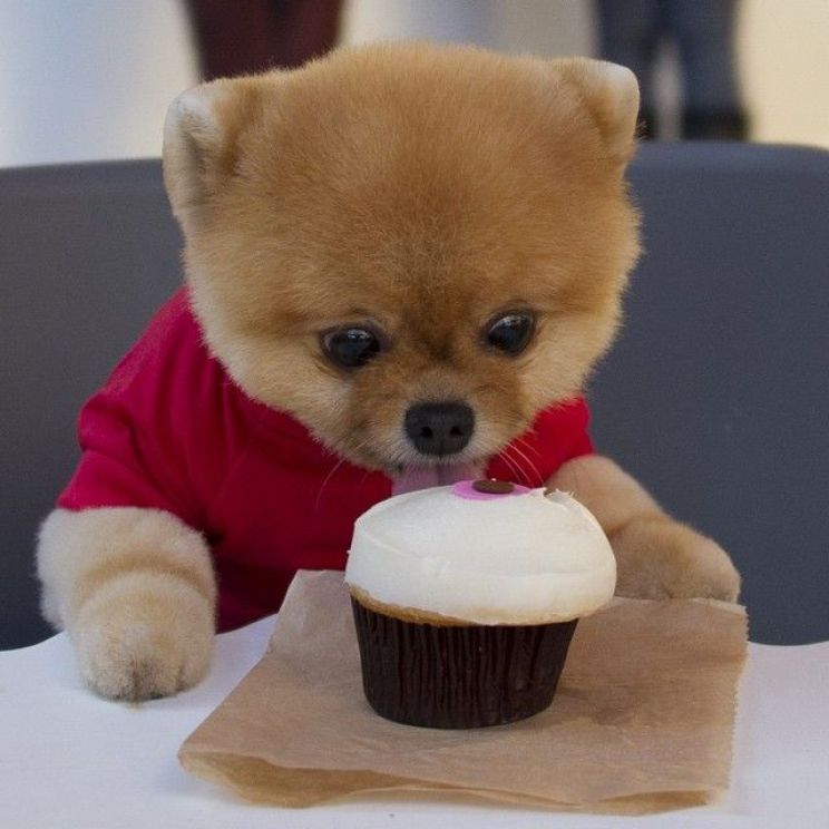 Jiff