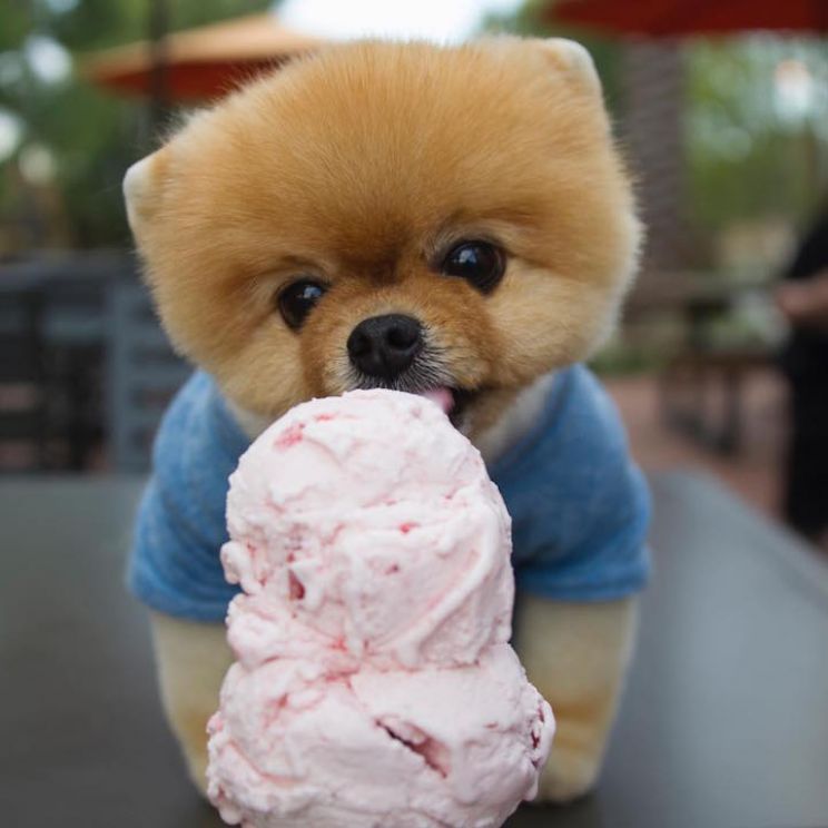 Jiff
