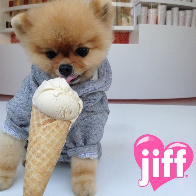Jiff