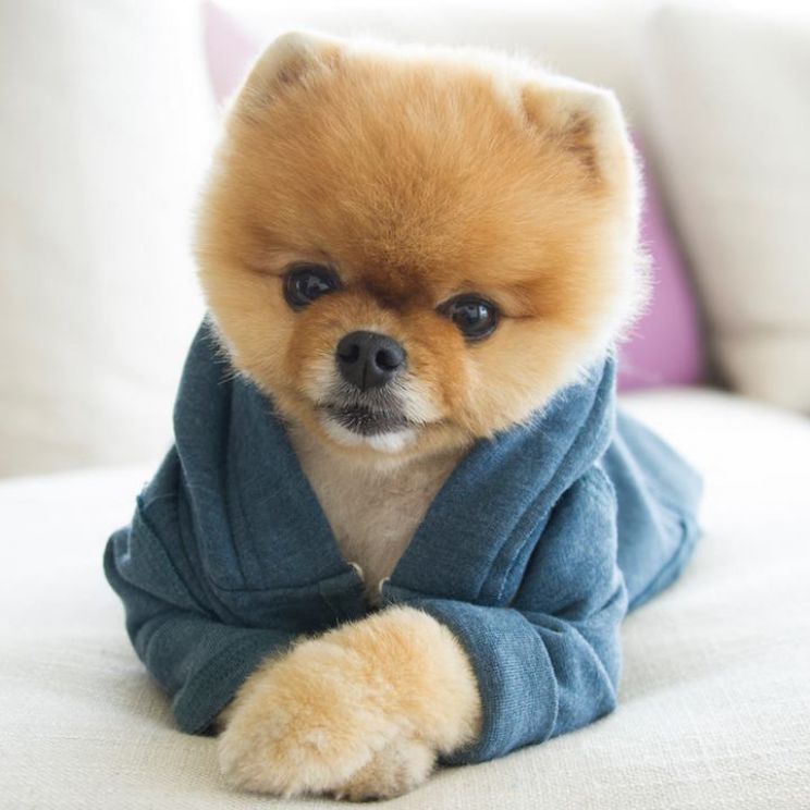 Jiff