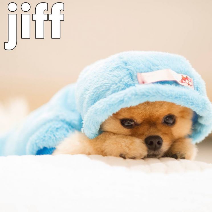 Jiff